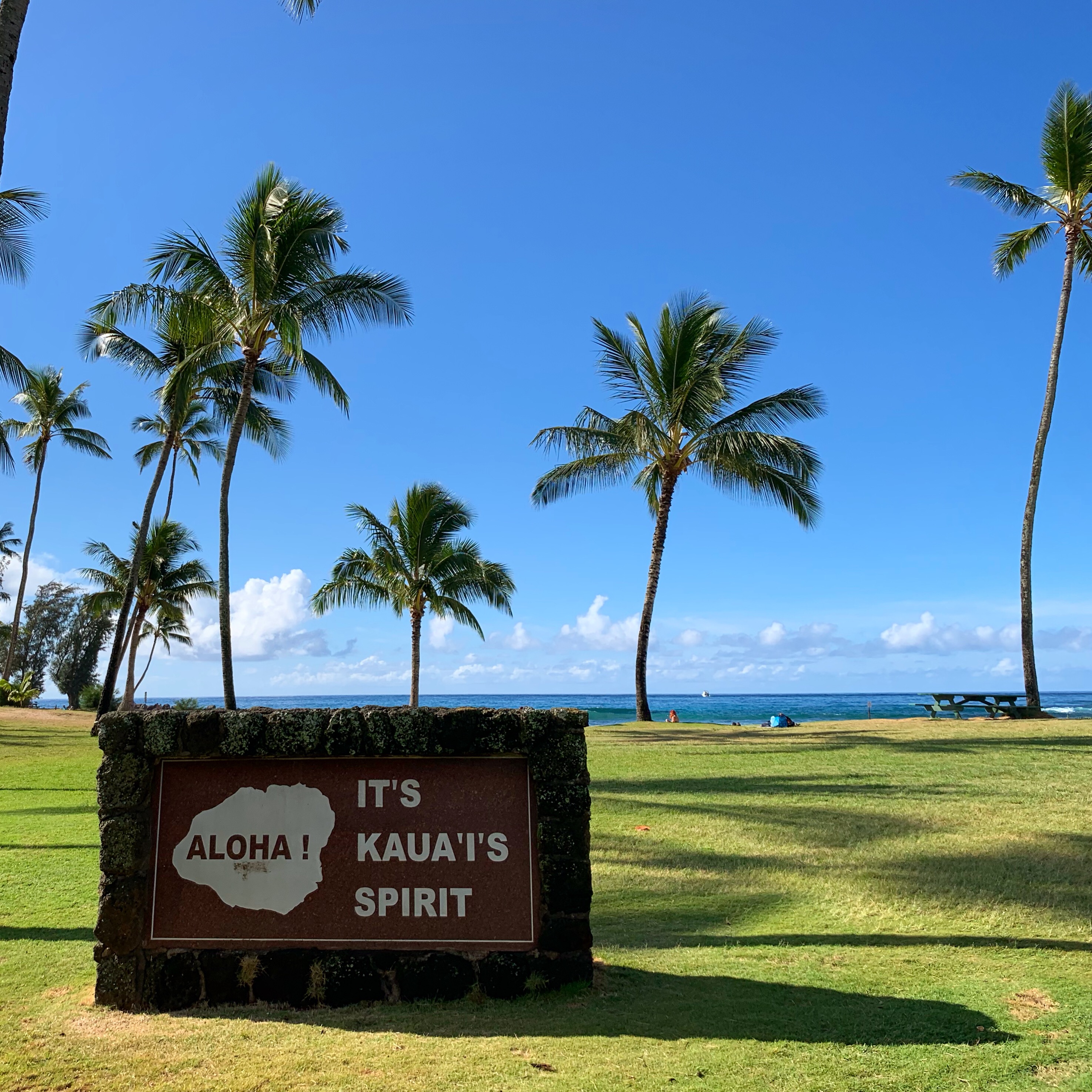 Aloha! It's Kaua'i's Spirit! Aloha! It's Kaua'i's Spirit! (Poipu Beach Park)