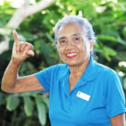 About Suite Paradise about suite paradise
